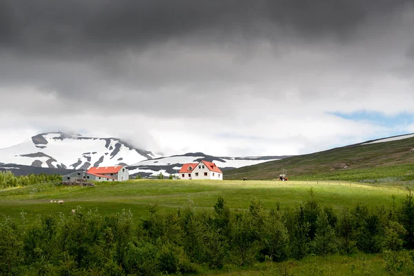 Βουνά τοπίο με σπίτια στην Ισλανδία — Φωτογραφία Αρχείου