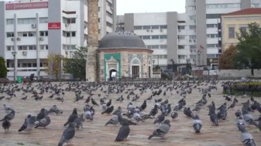 İzmir, Türkiye - Ocak 2021: Covid-19 koronavirüs salgını sırasında ana meydanda güvercinler var. İnsansız boş bir şehir. Meydanda bir sürü kuş var..