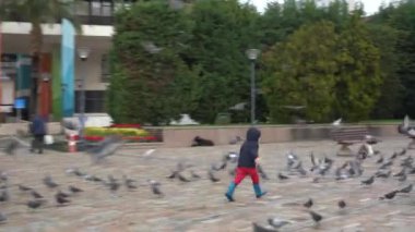 İzmir, Türkiye - Ocak 2021: Covid-19 koronavirüs salgını sırasında ana meydanda güvercinler var. İnsansız boş bir şehir. Meydanda bir sürü kuş var..