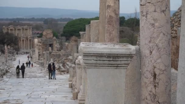 Selcuk Efesus Turecko Leden 2021 Pohled Zříceniny Starořeckého Města Efezu — Stock video