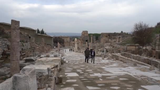 Selcuk Efeze Turkije Januari 2021 Zicht Ruïnes Van Oude Griekse — Stockvideo