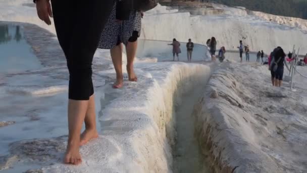 Pamukkale Turquía Enero 2021 Los Turistas Caminan Largo Las Aguas — Vídeos de Stock