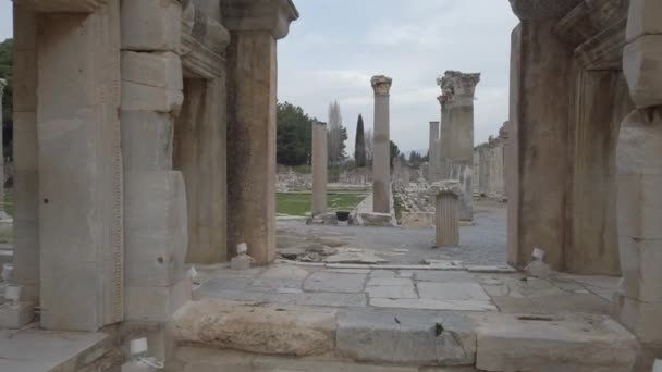 Selcuk, Éfeso, Turquia - Janeiro de 2021: Vista das ruínas da antiga cidade grega de Éfeso perto de Selcuk. Ruínas da cidade antiga. — Vídeo de Stock