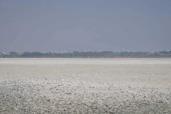 Larnaca Ciprus 2021 Szeptember Hala Sultan Tekke Mecset Egy Sós — Stock Fotó