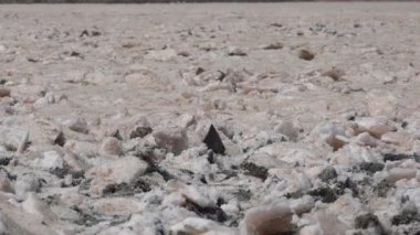 Larnaca, Kıbrıs, Eylül 2021: Hala Sultan Tekke Camii bir tuz gölünün arka planında. Kurumuş tuz gölü. Dünya yüzeyindeki doğal tuz.