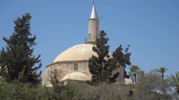 Larnaca Кіпр Вересень 2021 Хала Султан Текке Мечеть Тлі Солоного — стокове відео