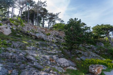 Vrbnik, Hırvatistan - 20 Nisan 2025: Dağların ve denizin panoramik manzarası. Dağların, denizin ve ormanın güzel manzarası.