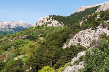 Bashka, Hırvatistan - 20 Nisan 2025: Deniz ve dağ manzaralı kasaba mezarlığı manzarası.