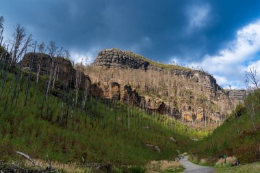 Hrensko, Çek Cumhuriyeti, Bohem İsviçre Ulusal Parkı. Büyük bir orman yangınından üç yıl sonra. Manzara ölü ağaç gövdelerini ve etkin yenilenmeyi gösteriyor. Bulutlu gökyüzünün altında yeni yeşillikler var..