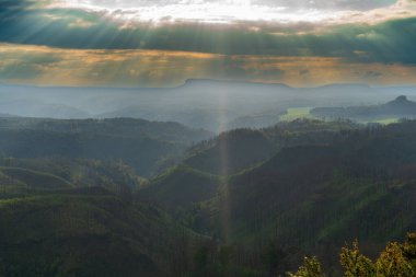 Hrensko, Çek Cumhuriyeti, Bohem İsviçre Ulusal Parkı. Büyük bir orman yangınından üç yıl sonra. Manzara ölü ağaç gövdelerini ve etkin yenilenmeyi gösteriyor. Bulutlu gökyüzünün altında yeni yeşillikler var..