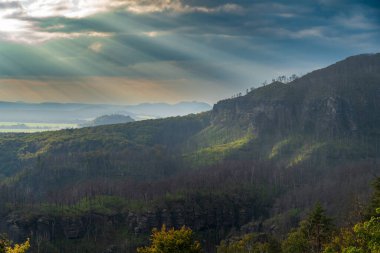 Hrensko, Çek Cumhuriyeti, Bohem İsviçre Ulusal Parkı. Büyük bir orman yangınından üç yıl sonra. Manzara ölü ağaç gövdelerini ve etkin yenilenmeyi gösteriyor. Bulutlu gökyüzünün altında yeni yeşillikler var..