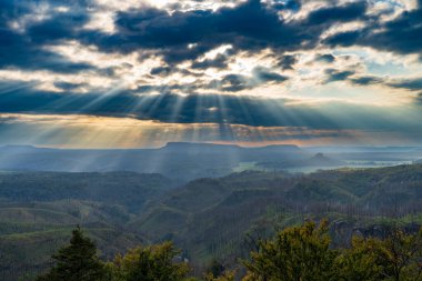 Hrensko, Çek Cumhuriyeti, Bohem İsviçre Ulusal Parkı. Büyük bir orman yangınından üç yıl sonra. Manzara ölü ağaç gövdelerini ve etkin yenilenmeyi gösteriyor. Bulutlu gökyüzünün altında yeni yeşillikler var..