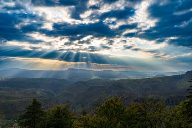 Hrensko, Çek Cumhuriyeti, Bohem İsviçre Ulusal Parkı. Büyük bir orman yangınından üç yıl sonra. Manzara ölü ağaç gövdelerini ve etkin yenilenmeyi gösteriyor. Bulutlu gökyüzünün altında yeni yeşillikler var..