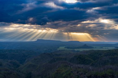 Hrensko, Çek Cumhuriyeti, Bohem İsviçre Ulusal Parkı. Büyük bir orman yangınından üç yıl sonra. Manzara ölü ağaç gövdelerini ve etkin yenilenmeyi gösteriyor. Bulutlu gökyüzünün altında yeni yeşillikler var..