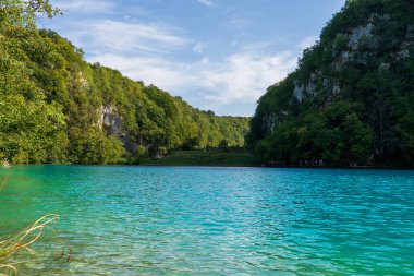 Plitvice Gölleri, Hırvatistan - 16 Ağustos 2025: Ulusal Park 'taki turkuaz göl ve şelalelerin manzaralı manzarası. Yeşillik orman ve kireçtaşı kayalıkları olan UNESCO Dünya Mirası.