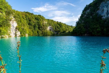 Plitvice Gölleri, Hırvatistan - 16 Ağustos 2025: Ulusal Park 'taki turkuaz göl ve şelalelerin manzaralı manzarası. Yeşillik orman ve kireçtaşı kayalıkları olan UNESCO Dünya Mirası.