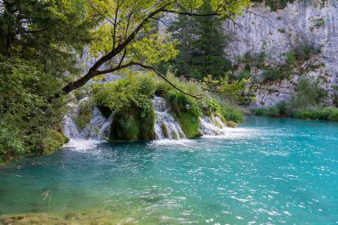 Plitvice Gölleri, Hırvatistan - 16 Ağustos 2025: Ulusal Park 'taki turkuaz göl ve şelalelerin manzaralı manzarası. Yeşillik orman ve kireçtaşı kayalıkları olan UNESCO Dünya Mirası.