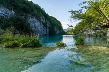 Plitvice Gölleri, Hırvatistan - 16 Ağustos 2025: Ulusal Park 'taki turkuaz göl ve şelalelerin manzaralı manzarası. Yeşillik orman ve kireçtaşı kayalıkları olan UNESCO Dünya Mirası.