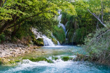 Plitvice Gölleri, Hırvatistan - 16 Ağustos 2025: Ulusal Park 'taki turkuaz göl ve şelalelerin manzaralı manzarası. Yeşillik orman ve kireçtaşı kayalıkları olan UNESCO Dünya Mirası.