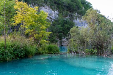 Plitvice Gölleri, Hırvatistan - 16 Ağustos 2025: Ulusal Park 'taki turkuaz göl ve şelalelerin manzaralı manzarası. Yeşillik orman ve kireçtaşı kayalıkları olan UNESCO Dünya Mirası.