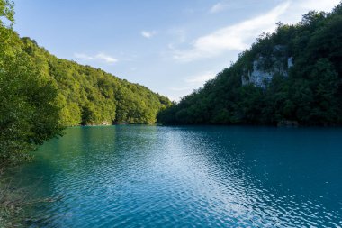 Plitvice Gölleri, Hırvatistan - 16 Ağustos 2025: Ulusal Park 'taki turkuaz göl ve şelalelerin manzaralı manzarası. Yeşillik orman ve kireçtaşı kayalıkları olan UNESCO Dünya Mirası.