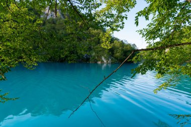 Plitvice Gölleri, Hırvatistan - 16 Ağustos 2025: Ulusal Park 'taki turkuaz göl ve şelalelerin manzaralı manzarası. Yeşillik orman ve kireçtaşı kayalıkları olan UNESCO Dünya Mirası.