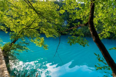 Plitvice Gölleri, Hırvatistan - 16 Ağustos 2025: Ulusal Park 'taki turkuaz göl ve şelalelerin manzaralı manzarası. Yeşillik orman ve kireçtaşı kayalıkları olan UNESCO Dünya Mirası.