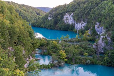 Plitvice Gölleri, Hırvatistan - 16 Ağustos 2025: Ulusal Park 'taki turkuaz göl ve şelalelerin manzaralı manzarası. Yeşillik orman ve kireçtaşı kayalıkları olan UNESCO Dünya Mirası.