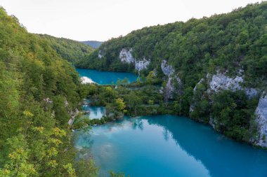 Plitvice Gölleri, Hırvatistan - 16 Ağustos 2025: Ulusal Park 'taki turkuaz göl ve şelalelerin manzaralı manzarası. Yeşillik orman ve kireçtaşı kayalıkları olan UNESCO Dünya Mirası.