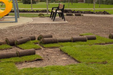 Parka yeni yeşil çimenler sermek, parkı düzenlemek.