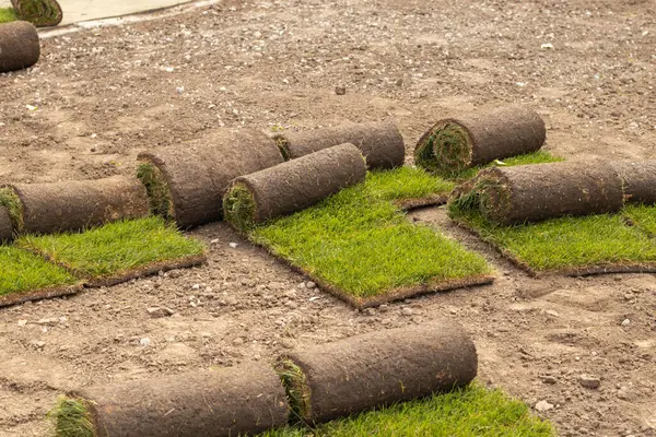 Colocación Nueva Hierba Verde Parque Paisajismo Del Parque —  Fotos de Stock