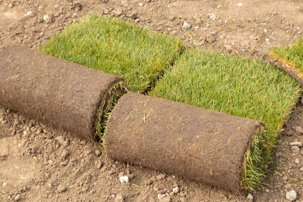 Aanleg Van Nieuw Groen Gras Het Park Aanleg Van Het — Stockfoto