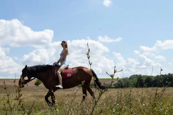 Balade Cheval Avec Modèle Sur Cheval Ukraine Été — Photo