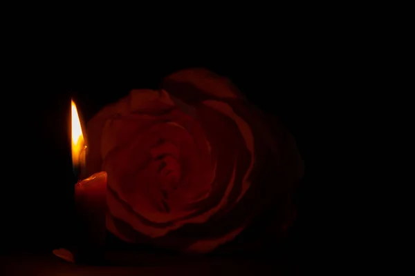 在黑暗的近处 一支蜡烛燃着 旁边站着一枝玫瑰 — 图库照片
