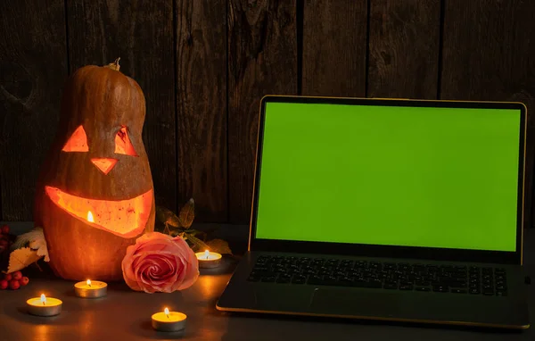 Halloween pumpkins on rough wooden boards with candles and rose glowing in the dark with open laptop with green screen blank space, laptop with green screen