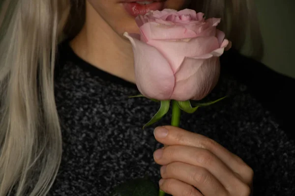 Een Roze Roos Handen Van Een Meisje Close — Stockfoto