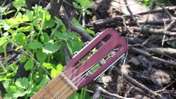 夏天的时候 一把旧吉他矗立在公园的草地上 在阳光下 它是一种乐器 — 图库视频影像
