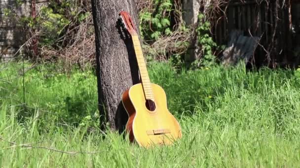 여름에 공원의 기타아 악기인 크리린 아래서 — 비디오