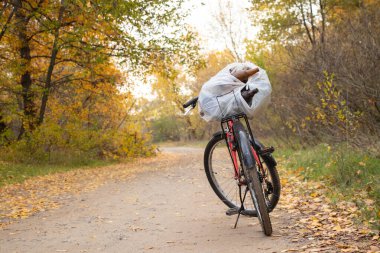Sonbaharda ormanda bisiklet üstündeki çöp torbası Ukrayna 'da ormanda çöp toplama.