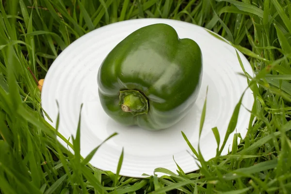 Bulgarian Green Pepper Lies White Plate Grass Day — Stock Photo, Image