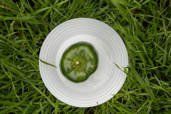 Bulgarian Groene Peper Ligt Een Witte Plaat Het Gras Buiten — Stockfoto