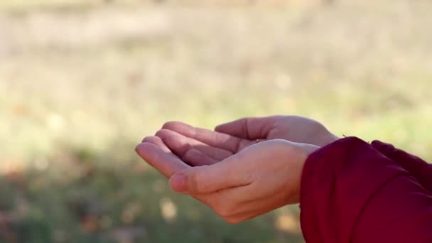 Woman Gives Small Coins Hands Another Woman Streets Asking Money — Stock Video