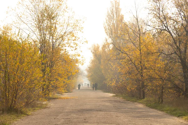 Camino Bosque Otoño Ucrania Los Parques Ciudad Dnipro — Foto de Stock