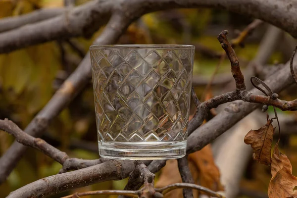 Alkollü Içecekler Için Boş Cam Kadehler Sonbaharda Sokağın Ağaç Dallarında — Stok fotoğraf