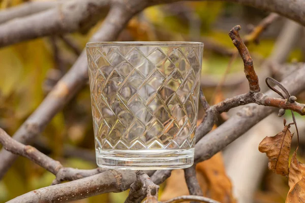 Cálice Vidro Vazio Para Bebidas Alcoólicas Fica Galhos Árvore Outono — Fotografia de Stock