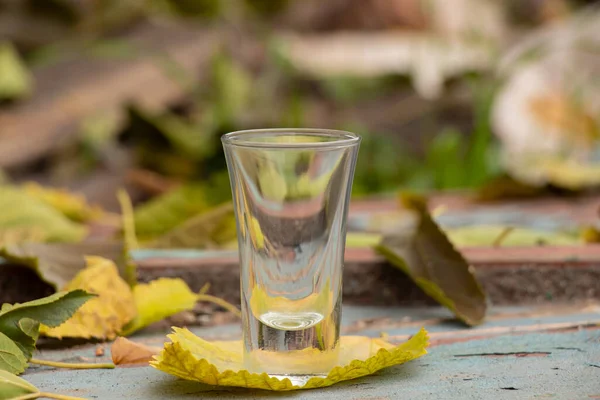 Prázdný Skleněný Pohár Alkoholické Nápoje Stojí Dřevěném Stole Žlutých Listech — Stock fotografie