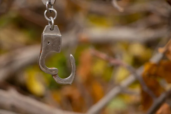 Manette Ferro Appendere Ramo Albero Strada Nel Pomeriggio Autunno Primo — Foto Stock