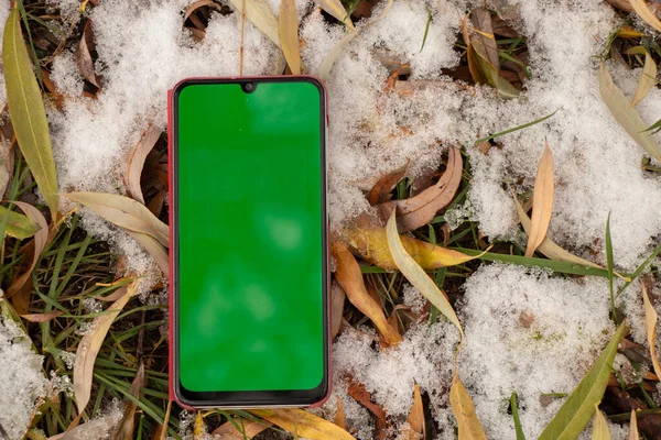 phone with a green screen lies on the snow in the grass in the winter outdoors, technology