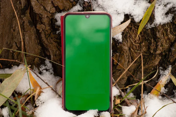 phone with a green screen lies on the snow in the grass in the winter outdoors, technology