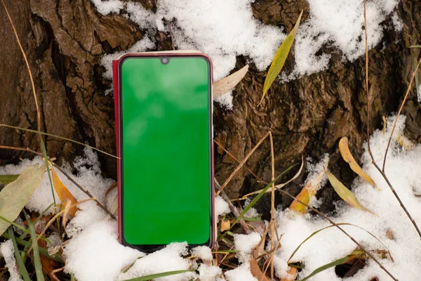 phone with a green screen lies on the snow in the grass in the winter outdoors, technology